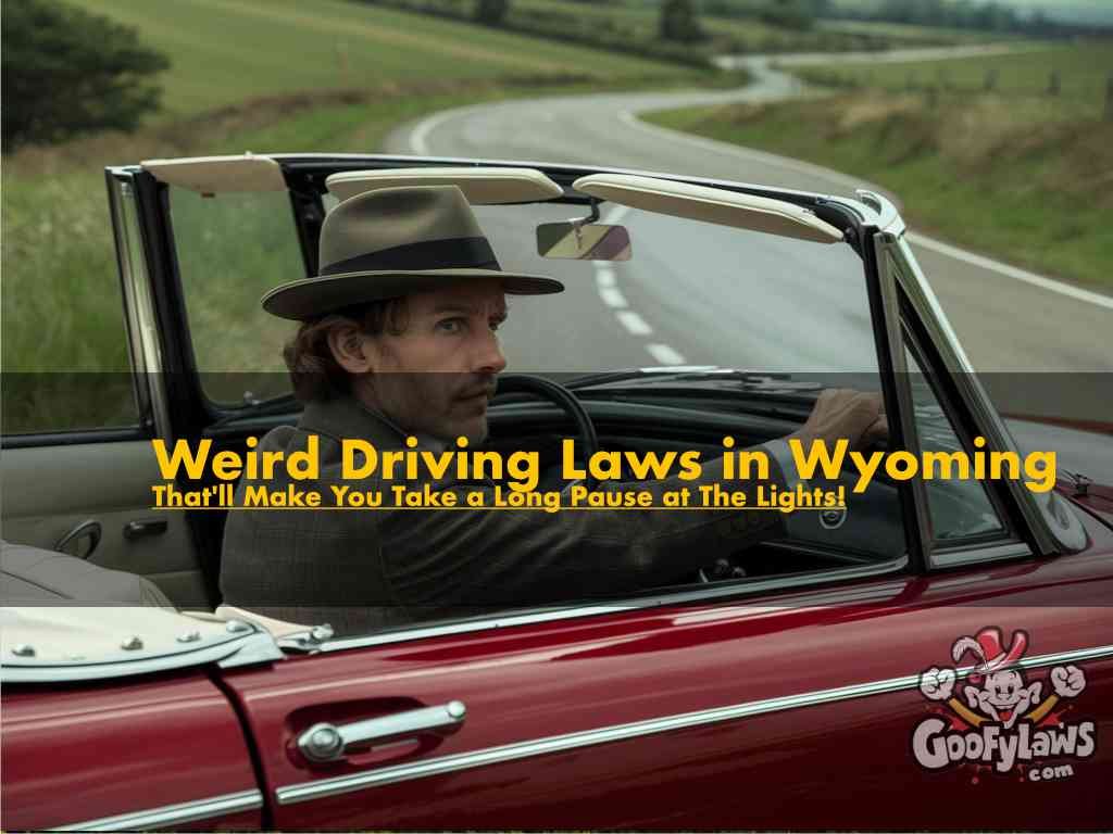 weird driving laws in wyoming