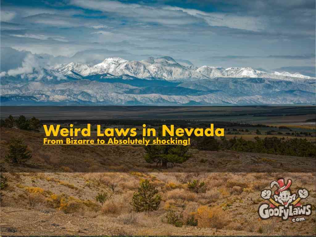 weird laws in nevada