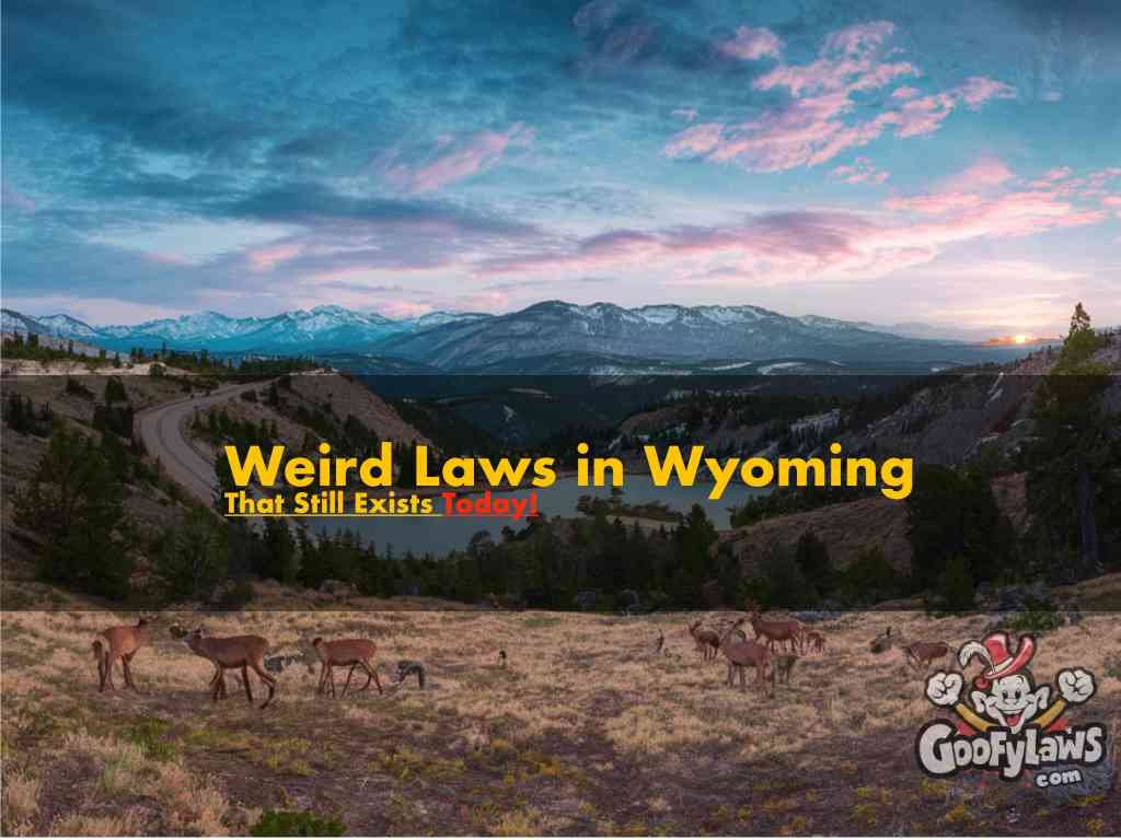 weird laws in wyoming