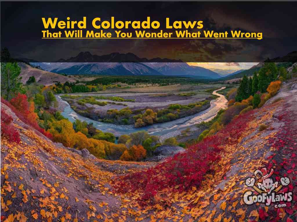 35 Weird Colorado Laws That Make You Go 